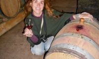 Wine tasting at cellar